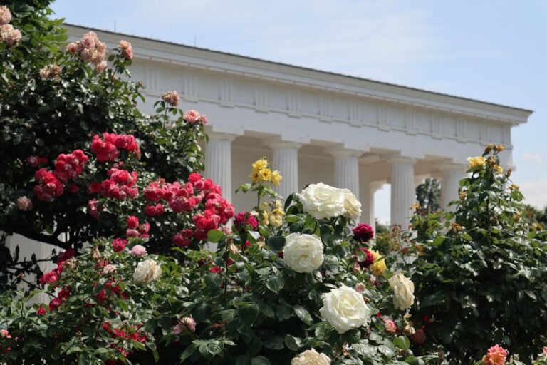 Photo Vienna Philharmonic