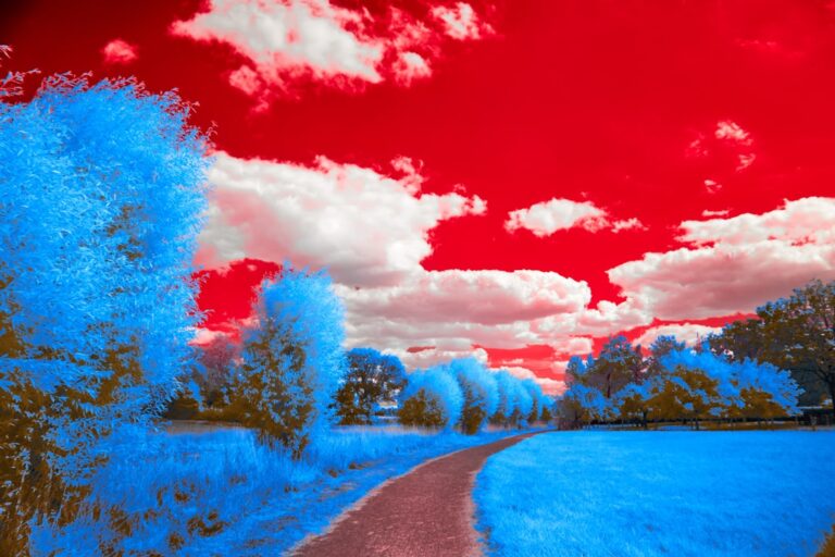 Photo dream interpretation