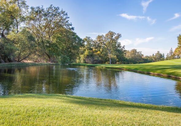 Photo dream interpretation