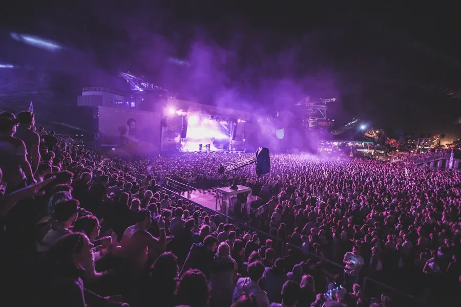concerts guide tips